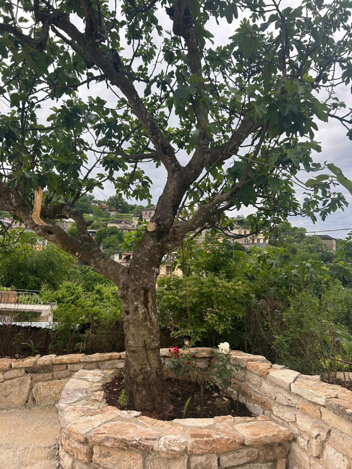 Guest House Lengo Αργυρόκαστρο Εξωτερικό φωτογραφία